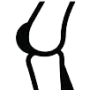 orthopedist